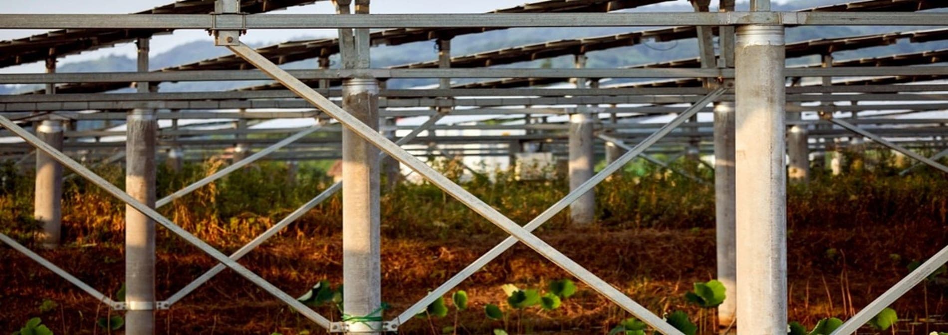 Structure agrivoltaïque montée au-dessus d'une parcelle agricole